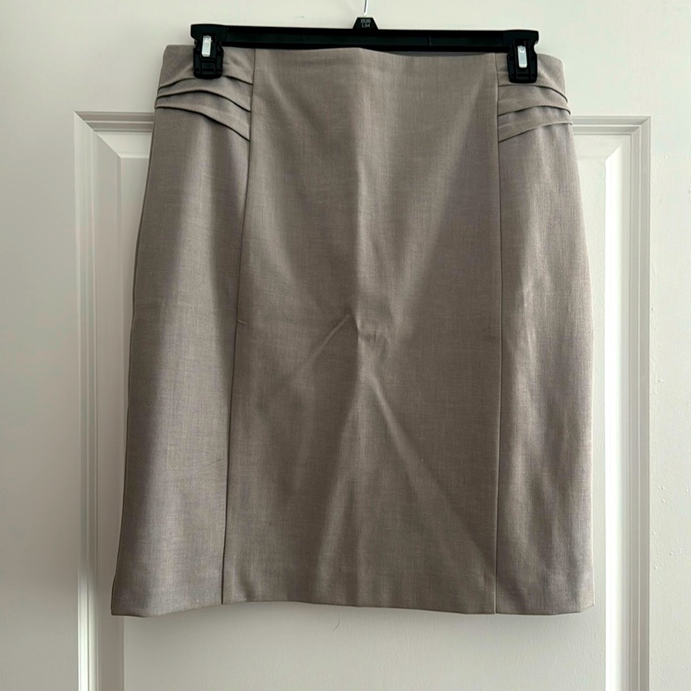 Express Pencil Skirt